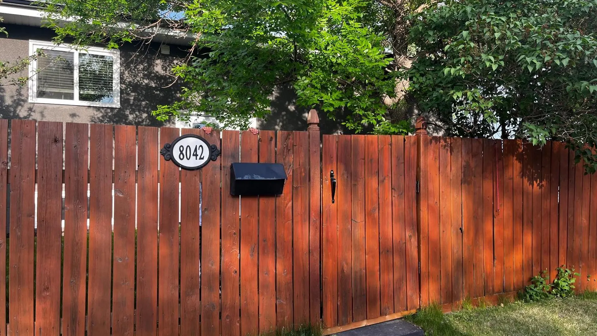 Homestay Hunter' S New Home! Calgary Canada